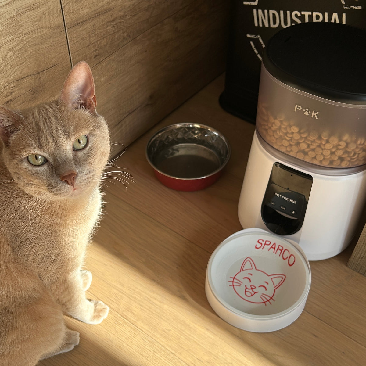 Gamelle personnalisée pour chat et chien
