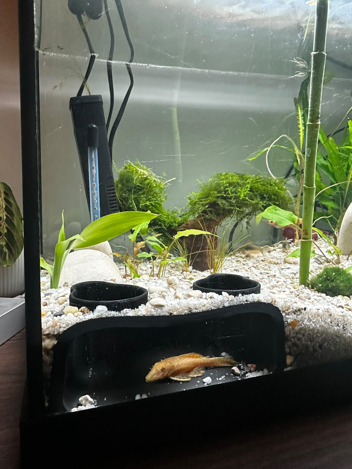 Tunnel souterrain d’aquarium