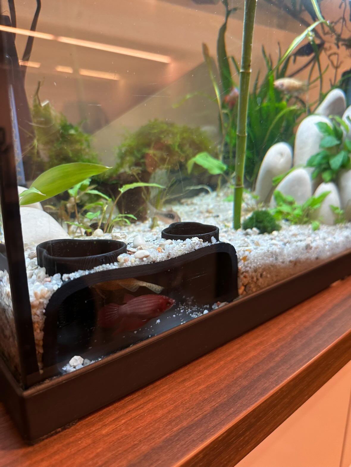 Tunnel souterrain d’aquarium