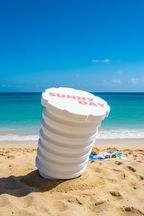 IMG_9803 - Vis dans le sable