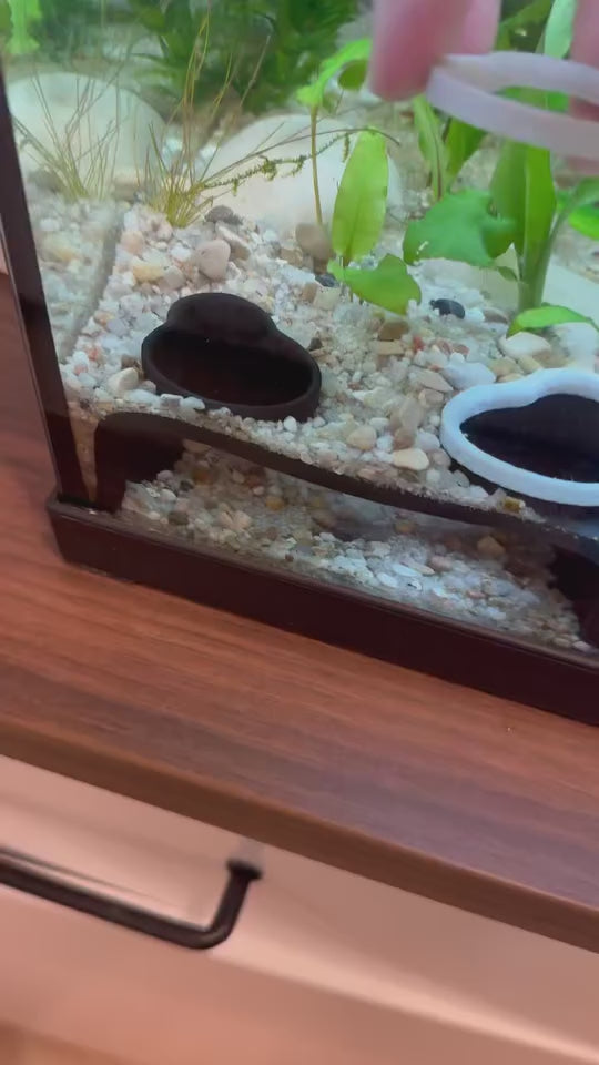 Tunnel souterrain d’aquarium - Bouches d’entrée